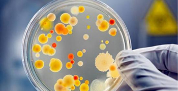 微生物活动会造成哪些影响？防霉剂厂家为你解答！